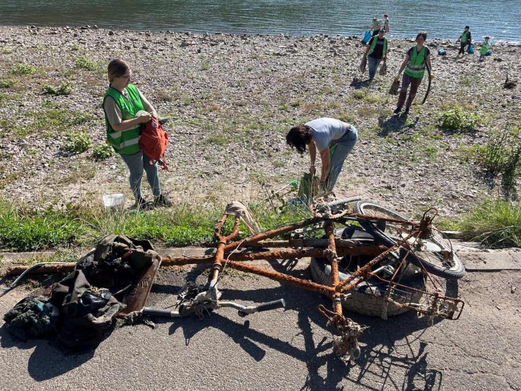 ko-luetzel_aktuelles_rhine-clean-up-2026_3